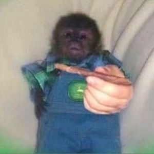 Meet your Posher, Seth